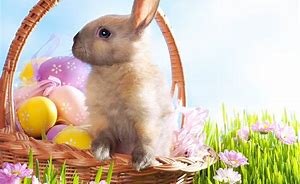 Paasklaverjassen 2019